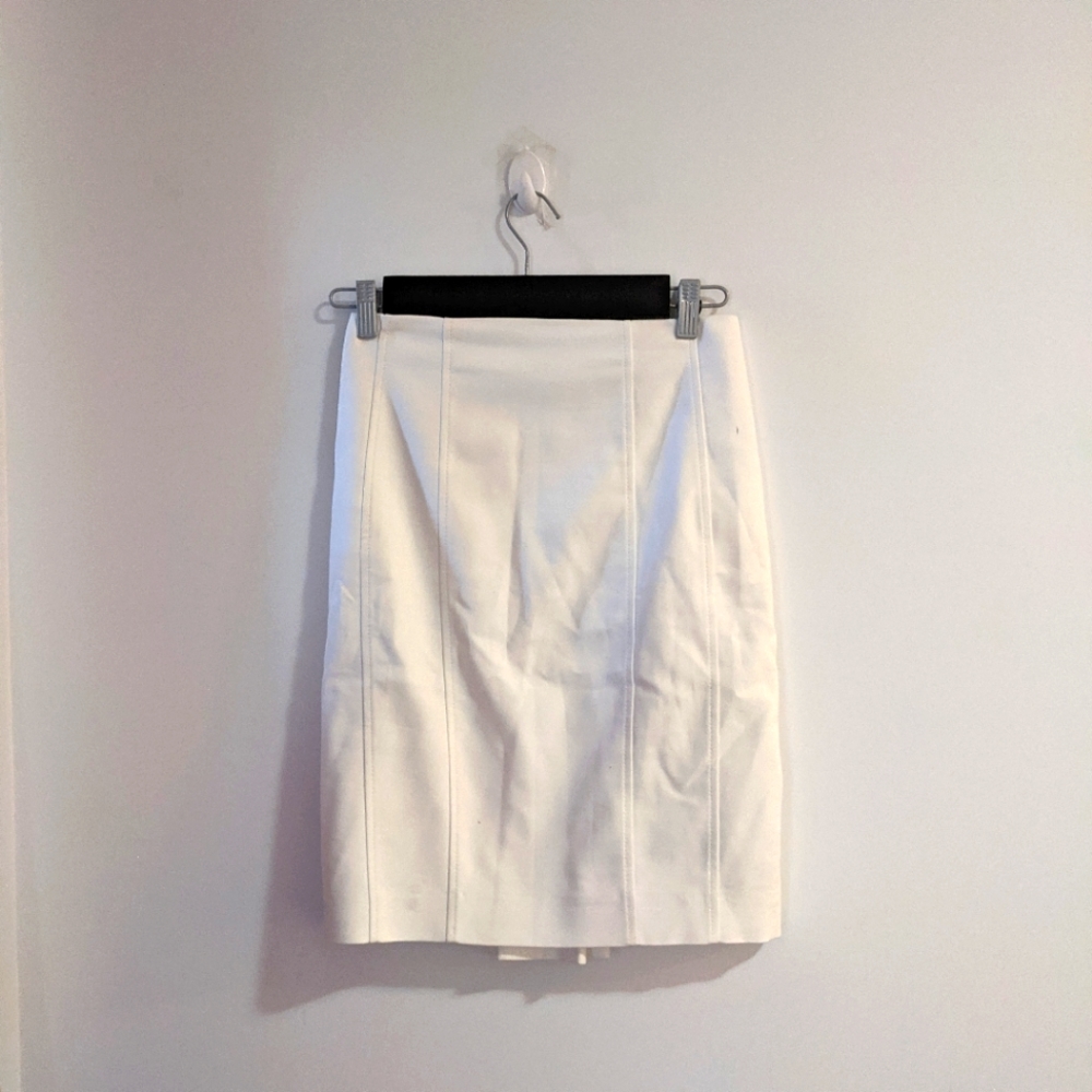 Express Pencil Skirt